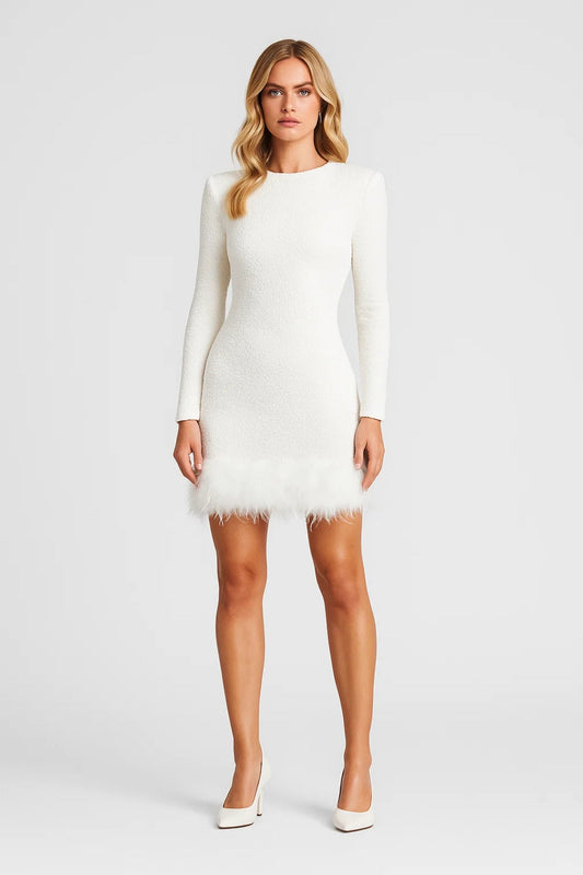 Nora Women's Mini Dress – Stunning Sequin and Feather Detail 3
