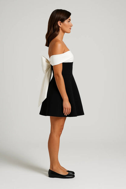 Luxe Women's Mini Dress – Elegant Off-Shoulder A-Line Style 1