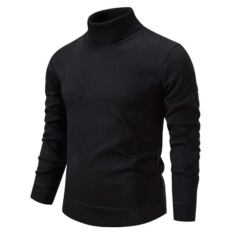 Aegidius | Bequemer Rollkragenpullover für Herren