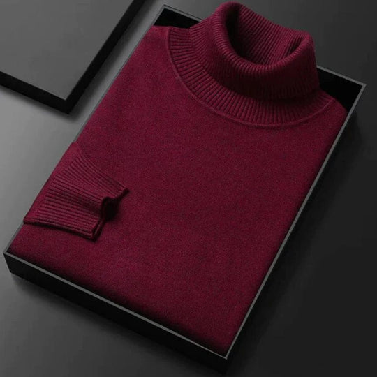 Aegidius | Bequemer Rollkragenpullover für Herren