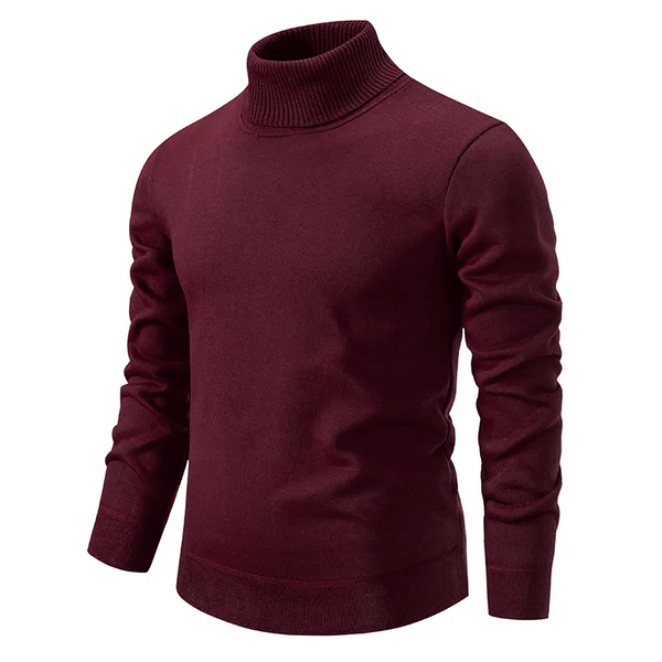 Aegidius | Bequemer Rollkragenpullover für Herren